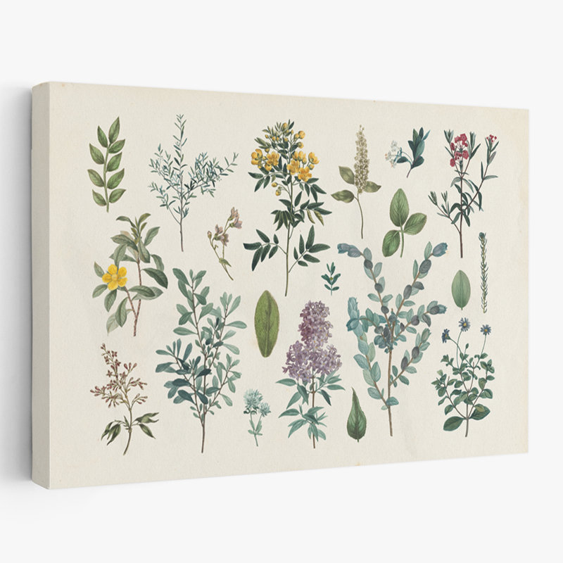 Fleurs botaniques - Jardin victorien IV, H 40 po x l 60 po