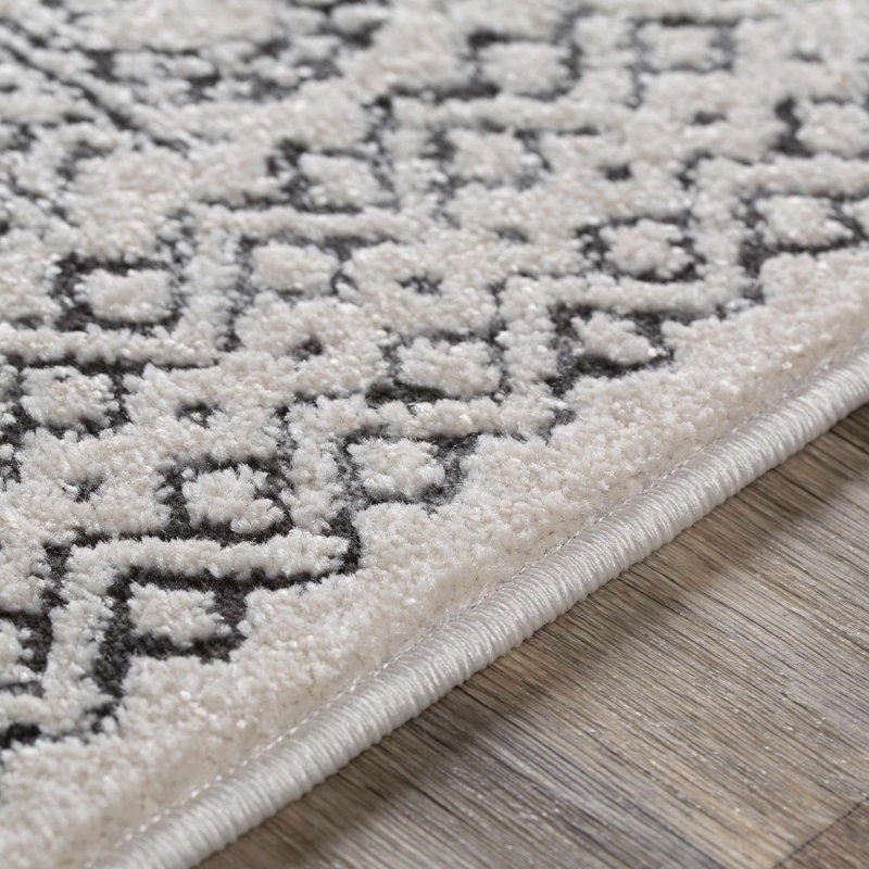 Aguila Southwestern Indoor Rug, Rectangle 2' x 2'11"