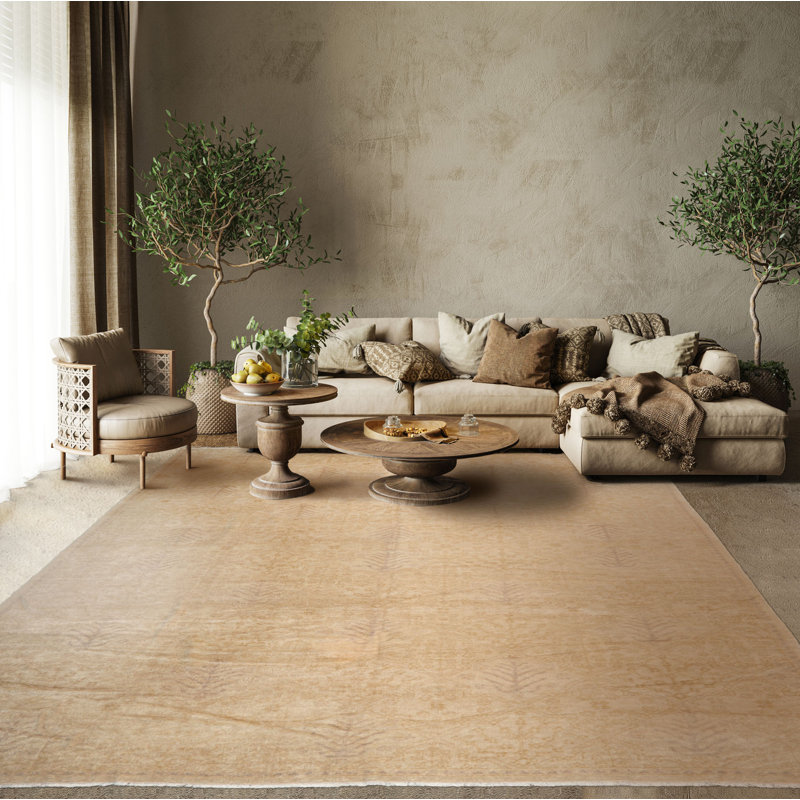 Tapis beige en laine noué à la main 10 x 14