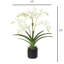 Polysilk Orchid Arrangement In Pot-2030385136-2030385143