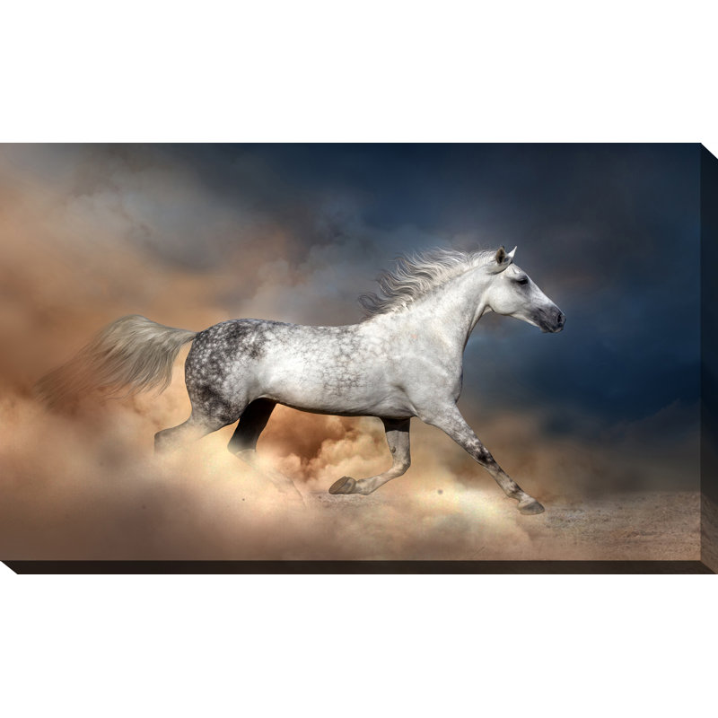 Cheval sauvage - impression sur toile tendue, H 36 po x l 60 po x P 1,5 po