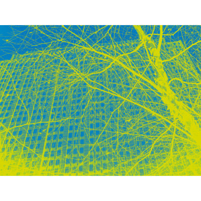 Electricity Print by Kevin Quinn