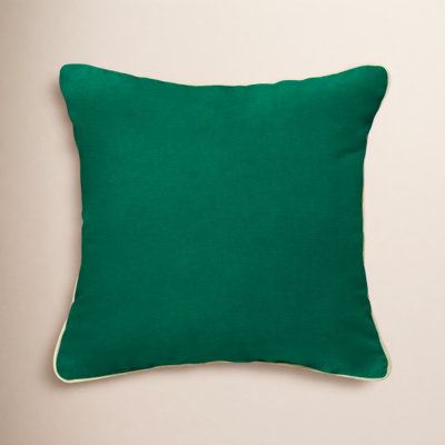 Estrada Indoor/Outdoor Throw Pillow