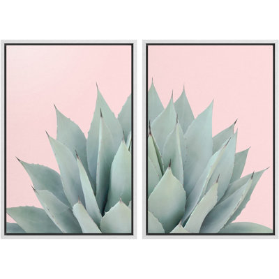 Sud-ouest, pastel, vert, désert, plante grasse, nature sauvage, photographie, gros plan, coloré