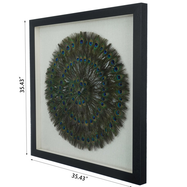 HUJI Peacock Feather Shadow Box Wall Decor