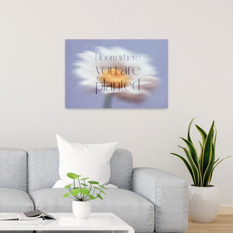 «Bloom Where Planted Dreamy Ethereal Peaceful Daisy Flower Landscape», reproduction d'art murale, 24" H x 36" W