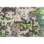 Mohit Wool Area Rug