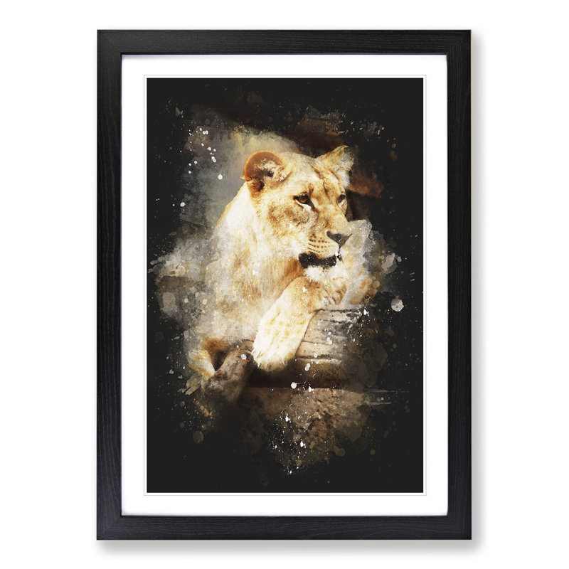 Lioness - Picture Frame Graphic Art, Black Framed, 65cm H x 48cm W x 2cm D
