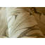 Tropical Collection Somoa Inspired Tropical Leaves 27.8' L x 27.5" W Wallpaper Roll-73448004