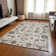 Alta Washable Oriental Indoor / Outdoor Area Rug