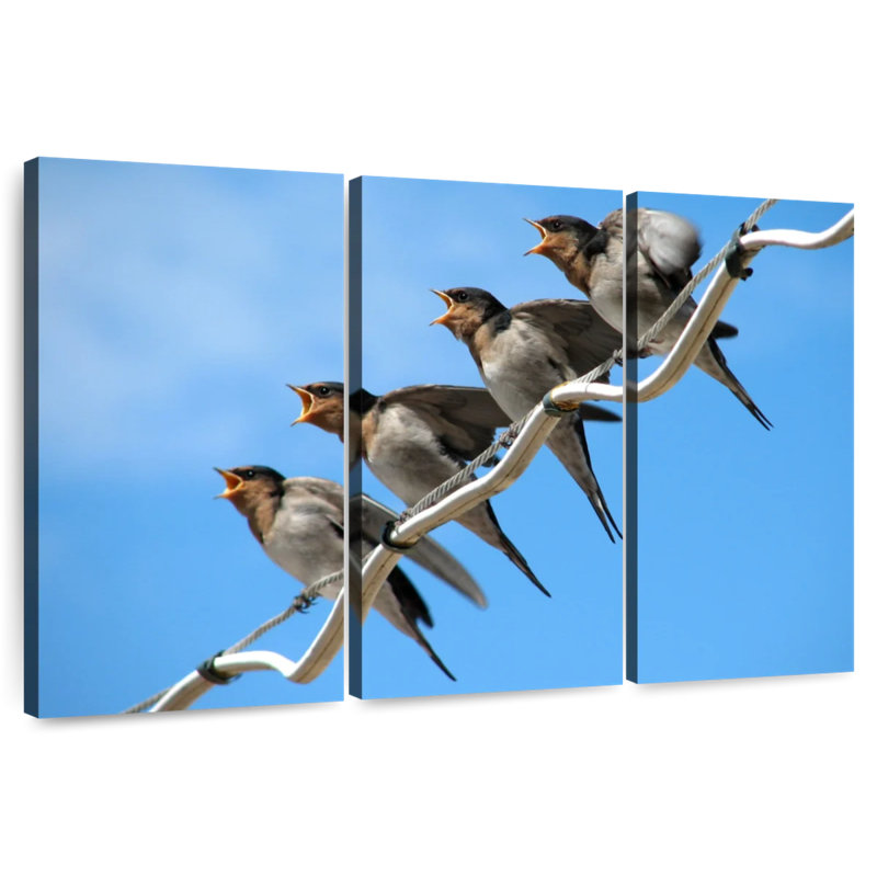 Bébé hirondelle affamé, 42" H x 65" W