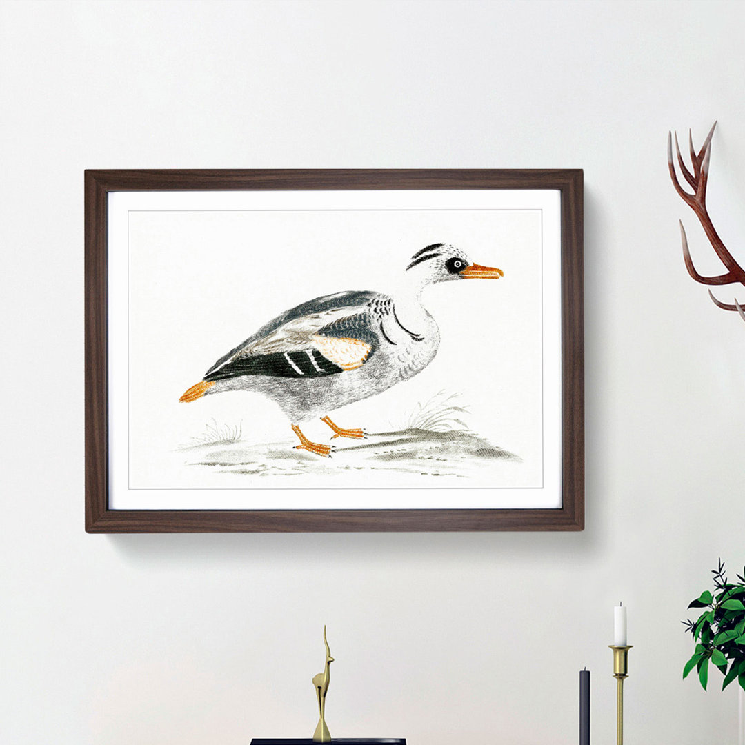 Portrait of a Duck by Johan Teyler - Picture Frame Painting Print