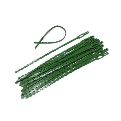 a ribbon 100pc 13/23cm Multipurpose Green Binding Tree Vines Plastic Fixed Horticultural Binding Strap Garden Fish Bones Binding Line
