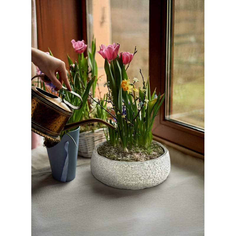 Bol bas Artisan Chalkstone - pot de fleurs / cache-pot décoratif vert mousse naturel pour plantes grasses 