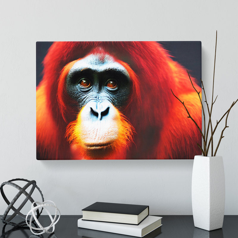 Enlivening Orangutan - Wrapped Canvas, 50cm H x 76cm W x 3cm D
