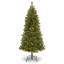 Grand sapin canadien avec lumières claires-850844492