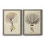 Toile encadrée Esper Sea Fans-469351594-469351597-469384945