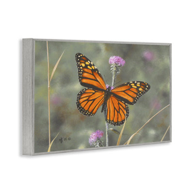 Summer Visitor Butterfly Giclee Art by Mark Kelso
