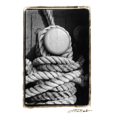 Tied Up II by Laura DeNardo - 1 Piece Wrapped Canvas Wall Art