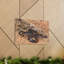 Scorpion Couple, Scorpion Couple, impression d'art mural-1075086124