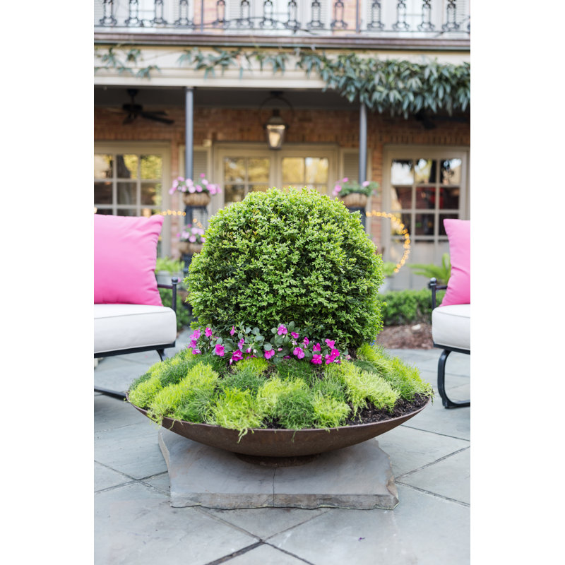 Pot à fleurs rond Wilina de 42 po Wilmarie