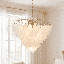 Boa 15-Light Chandelier in Warm Brass by Breegan Jane
