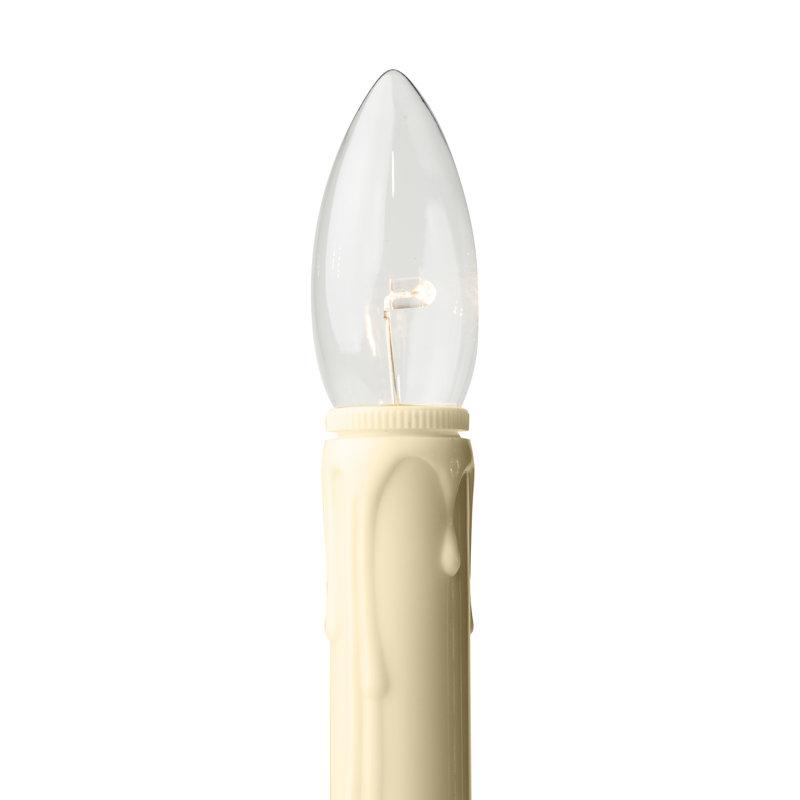 LED Holiday Lighting, Black Onyx