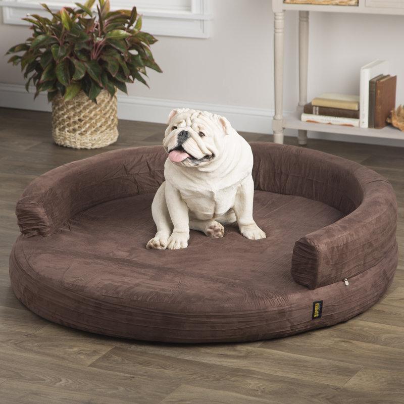 Lit pour chien de luxe rond en mousse à mémoire de forme Fala, Brun, Très grand (l 50 po x P 50 po x H 6 po)