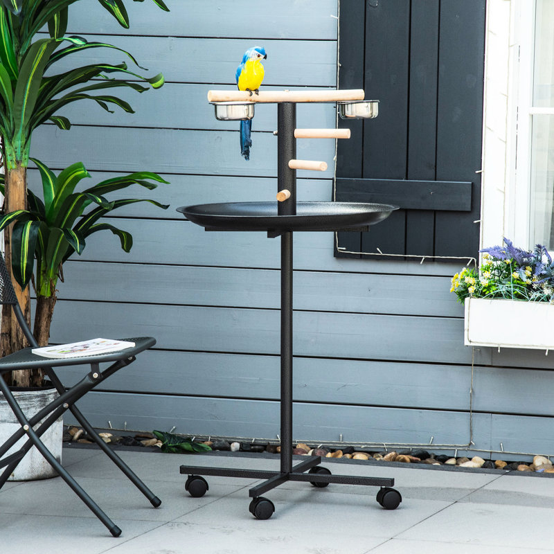 Support de perchoir portatif, quatre roues, bols en acier inoxydable, gris, support à oiseaux pratique avec alimentation polyvalente