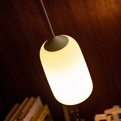Goby Pendant Light