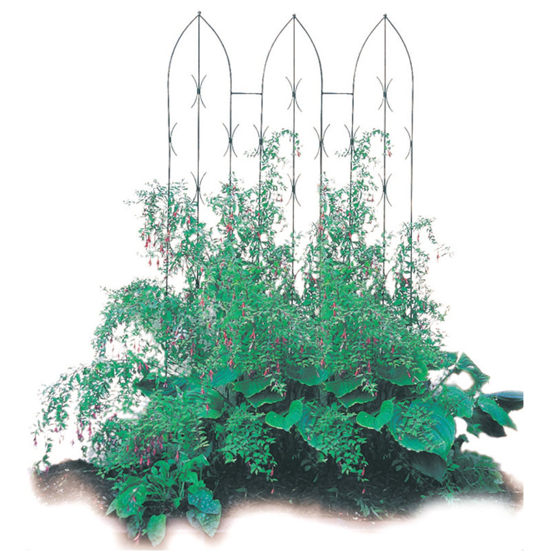 Monson 180cm H x 91.4cm W Gothic Trellis