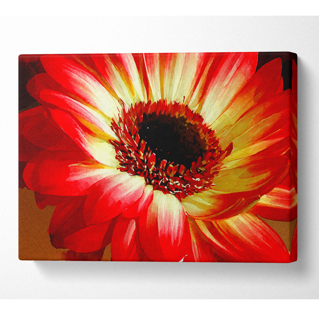 Rote Gänseblümchenblüten - Kunstdrucke auf Leinwand - Wrapped Canvas