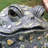 Toad Hollow Classic "Earl" Garden Statue-1864031924