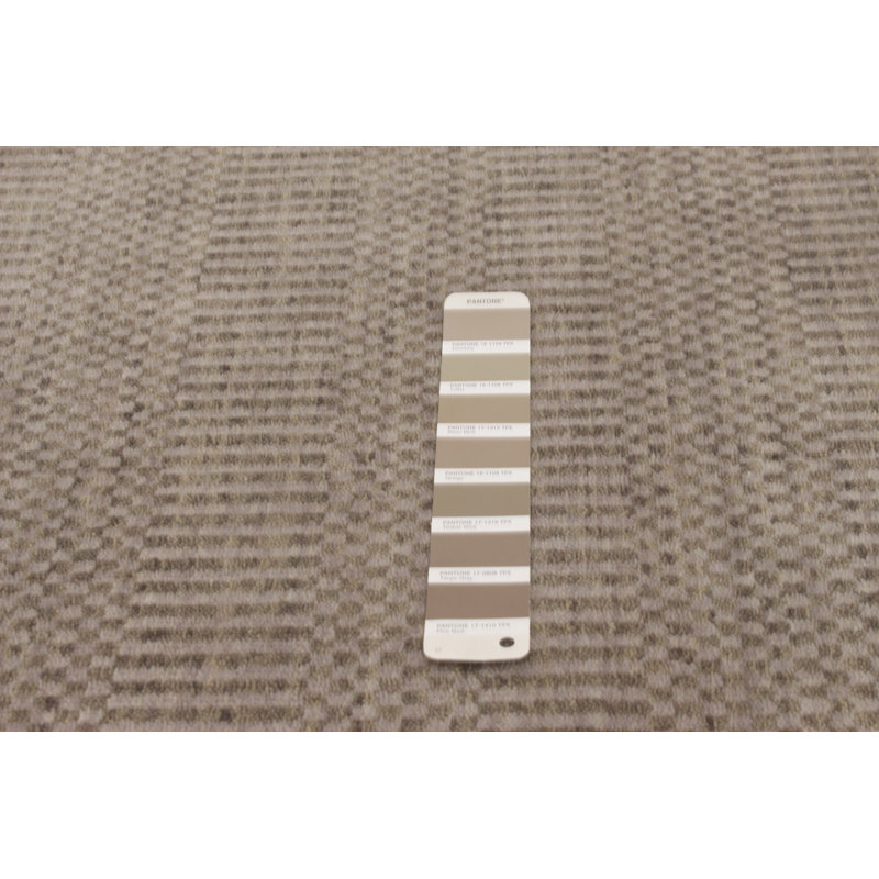 Tapis taupe en laine tissé à la main SantaAna