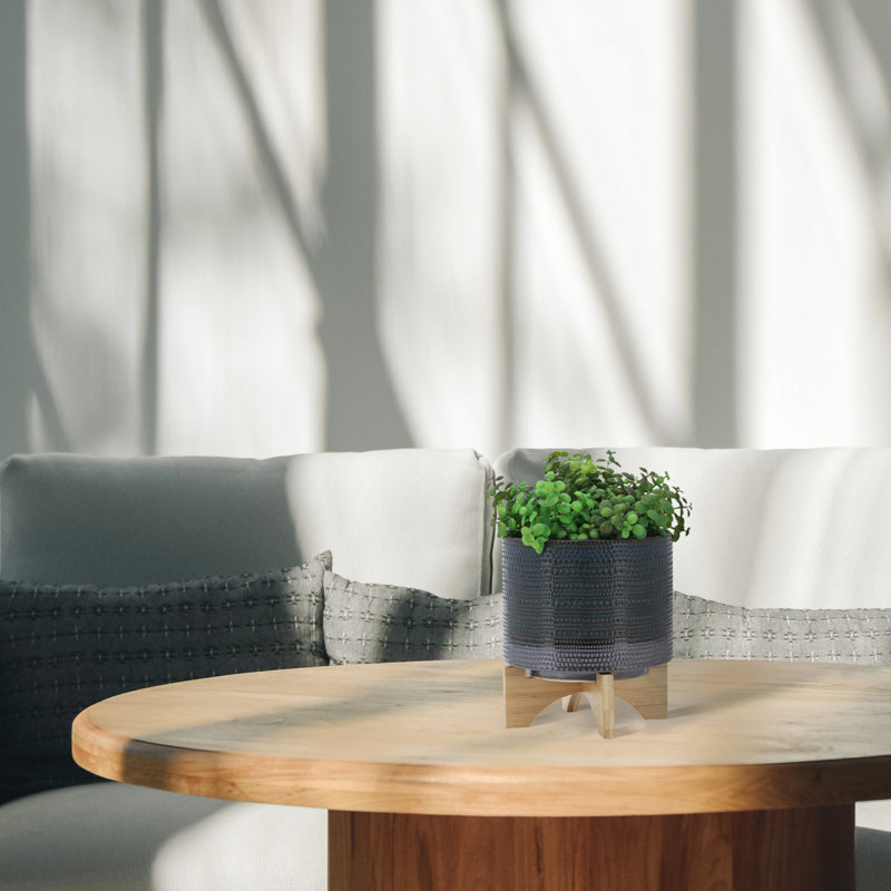 PLATTE À POIS 8 po AVEC SUPPORT EN BOIS, VERT