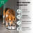 Anti-Skid Pet Bowl-13945766