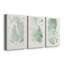Verdure Ferns IV - ensemble de 3 peintures sur toile tendue-833147543