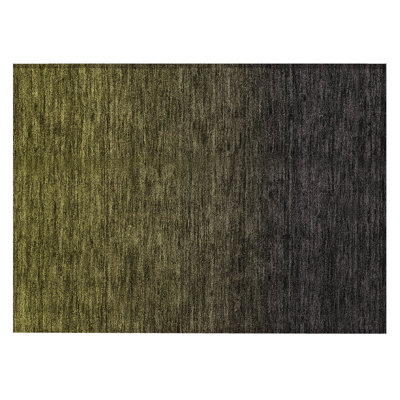  Quadree Area Rug