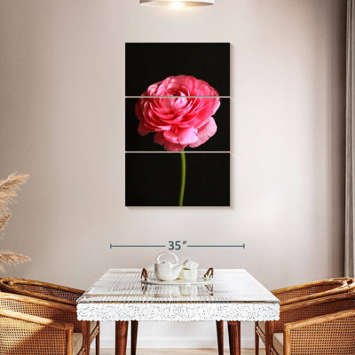 Renoncule rose moelleux Harnek