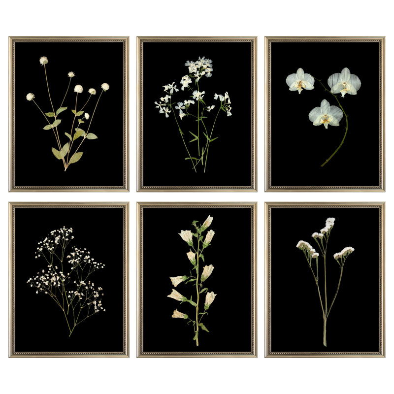 Pressed Botanical Giclees On Black Set by Sandy Whitaker, 50.5" H x 63.75" W, Silver Bead 2