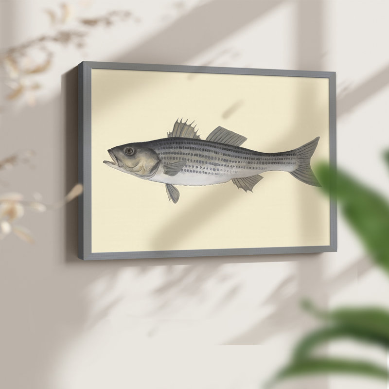 Espèces d'eau salée I - reproduction encadrée - réaménageable, H 11 po x l 14 po, Gris