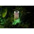Antonucci Decorative Lantern-1107976237