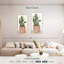Cactus en pot I-246822514