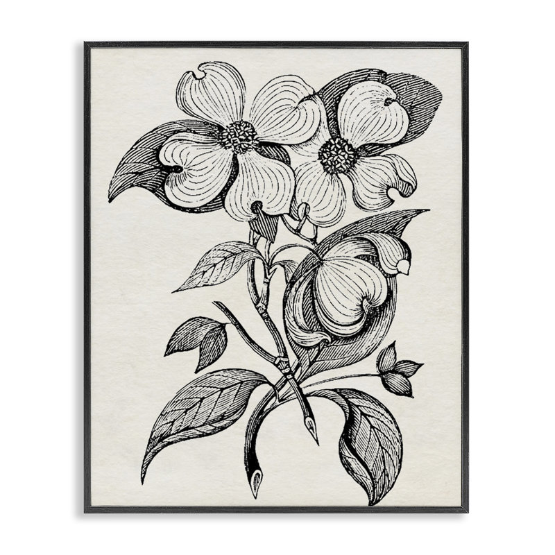 Giclée encadrée de coupe classique de cornouiller, design par Karen Smith, H 14 po x l 11 po, Giclée encadrée noir minuit