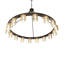 16 - Light Chandelier