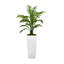 Ridgewood Faux Fern Tree in Fiberstone Planter