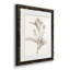 «Neutral Botanical Study VIIP», reproduction d'art encadrée - prête à être accrochée-558944179-559107761-558944181