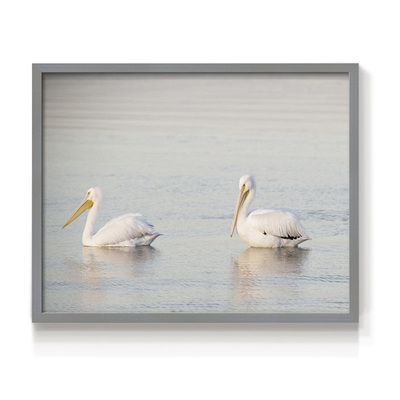 Pelican Pals - reproduction encadrée - réarmable, H 11 po x l 14 po, Gris