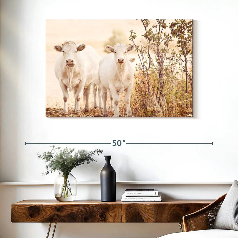 Charolais Cows, 26" H x 39" W