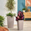 Cubico Pot Planter-72790294-16493081